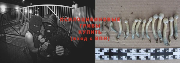 каннабис Бронницы
