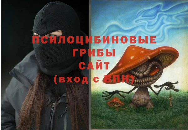 МДМА Бородино